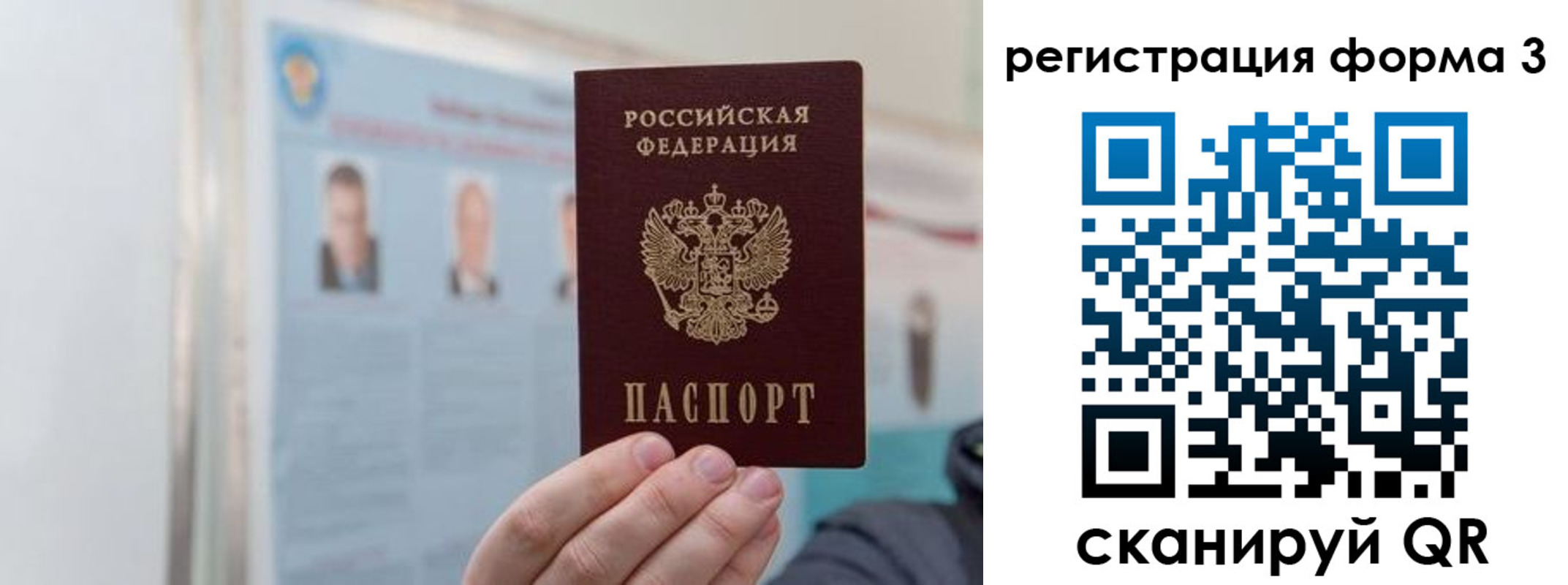 прописка в Пионерском